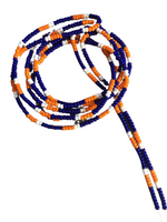 HOUSTON ASTROS