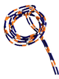 HOUSTON ASTROS